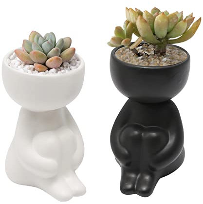 CADUFUELLY Lot de 2 petits pots de fleurs en céramique pour plantes grasses et cactus