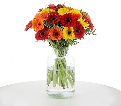 KENTIS - Bouquet di Fiori Veri - Gerbere e Lentisco - Mazzo di Fiori Freschi a Domicilio con Biglietto Personalizzabile Idea Regalo Compleanno