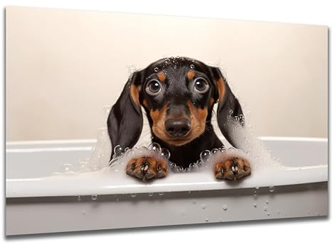 DARO Design - Toiletten-Bild auf 6mm HDF 40x30 cm Hunde-Welpe Dackel in der Badewanne - Wand-Deko Bilder Lustiges Geschenk