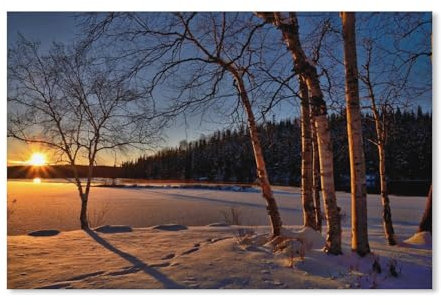 Puzzle 1000 Teile，Schwarze und weiße Flügel，DIY Handwerk Geschenk（50x70cm）