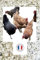 4,5KG de Coquilles d'Huîtres Françaises Naturelles, hygiénisées, calibrées et broyées pour volailles - Haute Teneur en Calcium: 36 à 38% et Oligo éléments (4,5 kg)