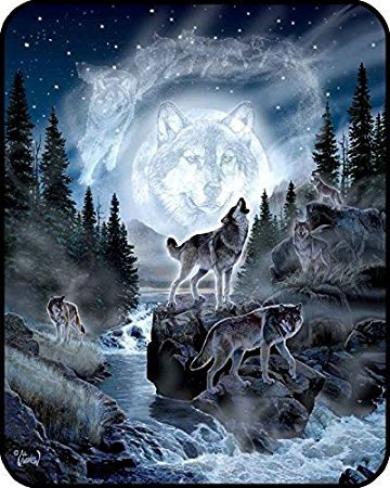 YISUMEI Decke 125x200 cm Kuscheldecken Sanft Flanell Weich Fleecedecke Bettüberwurf Mond Wolf