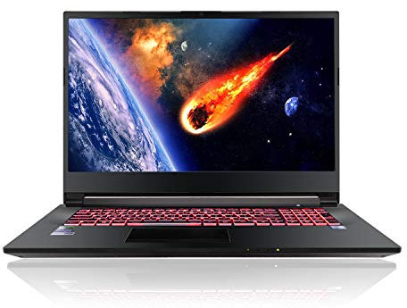 HoMei 32 GB RAM, 1 TB SSD, 2 TB HDD, 15.6 IPS Full HD 6 Cores 11th Gen Intel Core i5-11260H 4.4 GHz Gaming Notebook Laptop PC, GeForce RTX 3060 6 GB GDDR6 Dedicated Graphics, Backlit Keyboard, HDMI