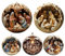 Facynde Krippenschmuck Für Den Weihnachtsbaum,Weihnachtskrippe Acryl Krippe Geschenk Klein Anhänger Weihnachtsbaumschmuck, Weihnachten Jesus Anhänger