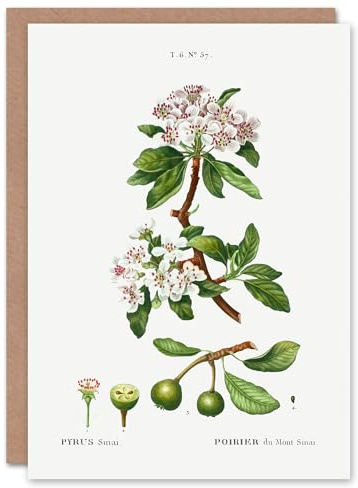 Artery8 Pierre-Joseph Redouté Art Card Almond Leaved Pear Tree