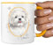Malteser Tasse SIGNATURE DOGS Malta Hund Motiv Hundemotiv Kaffee