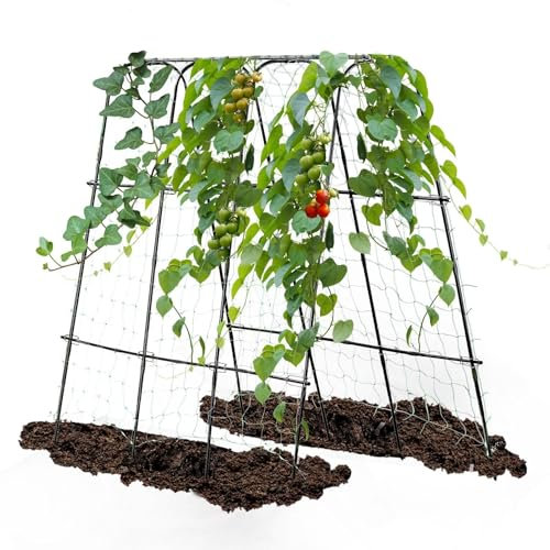 Lalahoni Gurkenspalier für Hochbeet, U-Rahmen-Gartenbogen, leichter Metall-Pflanzenträger mit Nylongeflecht für Kletterpflanzen, Gemüse, Obst, Blumen, Schwarz, 165,1 x 165,1 cm