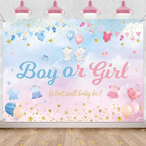 Gender Reveal Hintergrund Banner (Junge oder Mädchen)