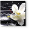 Modern Wanduhr Spa Orchidee Steine Wasser 30x30cm Quadrat Klein Wand Uhr Glas Analog Zimmeruhren Küche Büro Wohnzimmer Glasuhr Wall Clock Dekoration Design Wanddekoration Küchenuhr C3AC30x30-0444