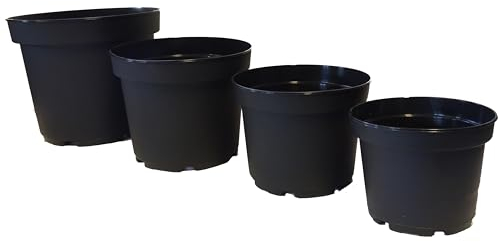 Fuchs seit 1895 10er Set Blumentopf MCI Containertopf aus Kunststoff, Größe:18cm