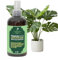GardenNova Professional Monstera Spray Fertilizer Mist for Home Gardening | 3-1-2 Gentle Blend Mist for Healthy Leaves & Growth | Essential Nutrients for Monstera - 8oz