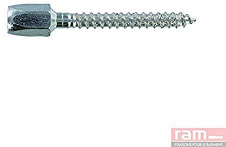 Ram - Piton de Réhabilitation mâle, 6mm, Gris, Boîte de 50