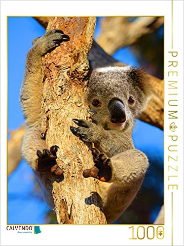 CALVENDO Puzzle Kleiner Koala auf Eukalyptusbaum 1000 Teile Puzzle hoch | Lege-Größe cm Foto-Puzzle für glückliche Stunden