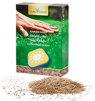 Premium Sommerrasen Rasensamen & Grassamen | Schnellkeimende Rasensamen für Hitzebeständigen, Dürreresistenten Rasen | Nachsaat für Sonnige, Trockene Standorte | 1 kg für 40 m²