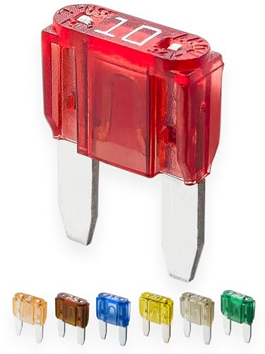10A KFZ Sicherungen Mini | 12V 24V 32V | 10 Stück | Stecksicherungen für Stromdieb & Sicherungshalter | 11mm Flachsicherungen für Auto, Boot, Motorrad, Wohnmobil, Roller | Ersatzsicherungen