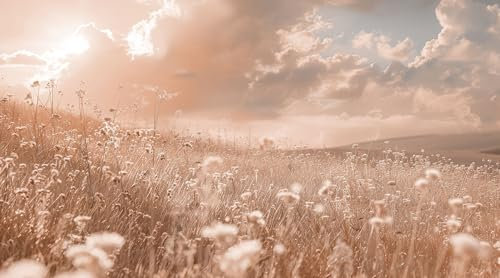 UNIK Nordic Vliestapete, BxH 150x250 cm, Sonnenuntergang Wiese, Tapete Landschaft, Fototapete Wohnzimmer und Schlafzimmer, XXL Premium Wohntapete, Wandtapete, Naturtapete Made in Germany