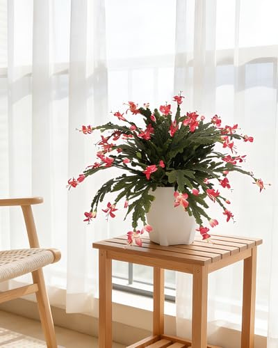 Leflos Künstlicher Schlumbergera truncata, Thanksgiving Kaktus, 2 STK. Rot | Künstl. Schlumbergera 30 cm im Topf, 2 Stiele, 50 cm, rote Blüten, realistisch, pflegeleicht, Deko für Tisch & Regal