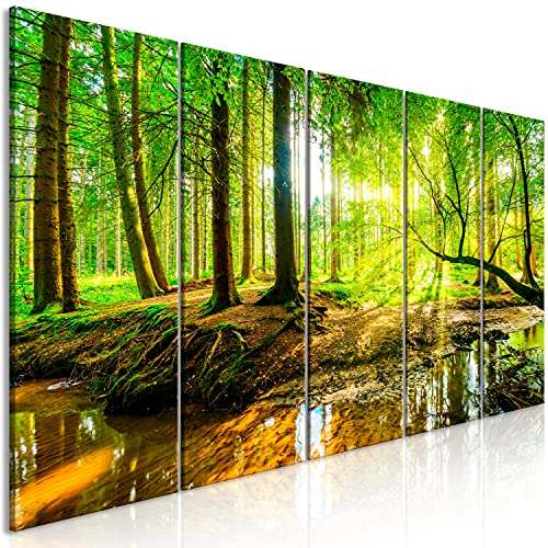 B&D XXL - Wandbilder XXL Wald 225x90 cm 5 tlg - Wand Deko Leinwand Bilder Groß Wandbild Wohnzimmer Bild Schlafzimmer Kunstdruck Panoramabild - Landschaft Natur Waldlandschaft Bäume Grün c-B-0241-b-m
