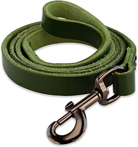 Brute Strength – Hundeleine aus Leder – Grün/Schwarz – 180 cm | Lederleine für Hunde aus Vollnarbenleder; für Spaziergang, Training und freihändiges Laufen, mehrfach verstellbar