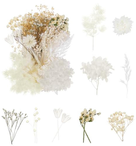 DATEFUN Getrocknete Blumen - Trockenblumen zum Basteln DIY - Natürliche Getrocknete Gepresste Blumen für Harz Scrapbooking Karten Machen