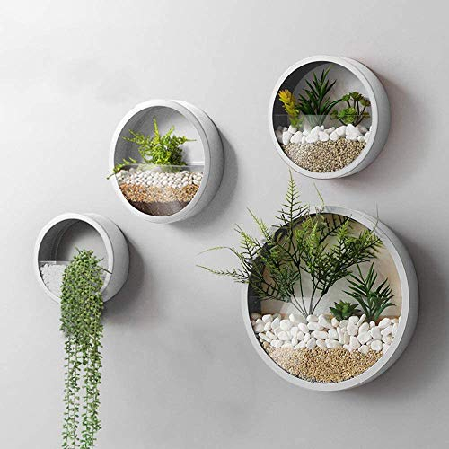 KNIKGLASS 4 Stück Hängende Wandvase, Runde Wandvase Pflanzgefäße, hängende Pflanzgefäße Dekor für Zuhause, Küche, Büro und Schlafzimmer (Weiß)
