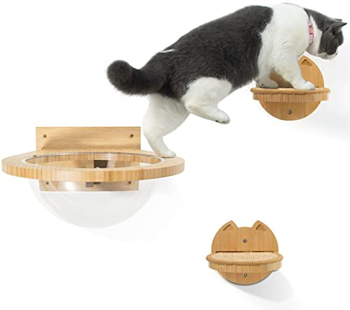 Yangbaga Kletterwand für Katzen, Wandliege Holz Katzenliege mit 2ST Katzentreppe, Katzenbett Wandmöbel, Transparent Katzenhaus Set, Katzen Korb, Spielzeug für Innen Große Katzen