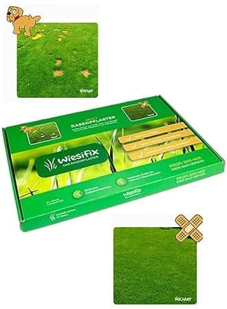 WiesiFix | 3in1 Power Rasenpflaster für Urinflecken in der Wiese | schnellkeimend | Rasennachsaat | Fleckenentferner | Selbstnachanbauset | Hund | tierfreundlich | Gartenpflege |