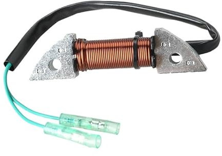 DEFIYAN Lichtmaschine Compatible with Außenbordmotoren 3B2-06123, kompatibel mit 2-Takt-Modellen 8 PS, 9,8 PS, HDX 3B2-06123-1 3B2061231 M8/9.8B 3B206123