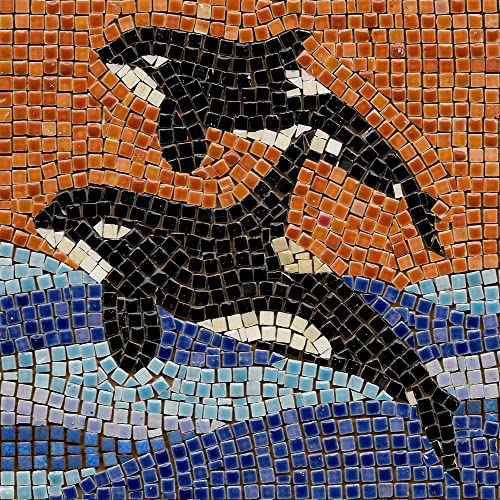 ALEA Mosaic Mosaik bastelset, DIY 20x20cm, Orca 2