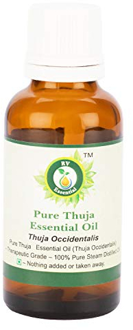 R V Essential Thuja ätherisches Öl | Thuja Occidentalis | 100% rein und natürlich | Dampf destilliert | 50ml | 1.69 Unzen