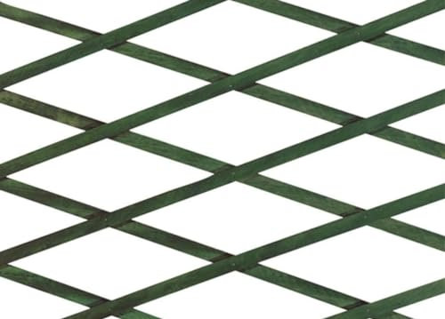 CapitanCasa Treillis pour estompants extensibles Brise vue Clôture Jardin Terrasse 100 x 300 Vert