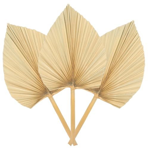 VOSAREA 1 Jeu Décoration Murale d'art Décor De Feuilles De Palmier Séchées Bouquet De Fleurs Artificielles Composition Feuille Séchée Décoration De Feuilles De Palmier 3 Pièces