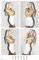 Ariana Grande - Quad - Pop Musik Poster Plakat Druck - Größe 61x91,5 cm