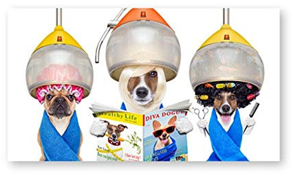 HERWS Leinwand Bilder Hundefriseur Friseur Druck Unter Trockenhaube Lustiges Poster Hund Lesemagazin Leinwand Barbershop Wandkunst Dekor