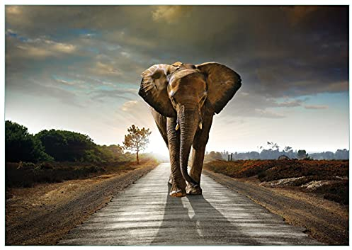 Wallario Glasbild Elefant bei Sonnenaufgang in Afrika - 70 x 100 cm Wandbilder Glas in Premium-Qualität: Brillante Farben, freischwebende Optik