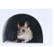 20pcs 3D-Mauseloch, realistischer Wandaufkleber,aufkleber mauseloch, Maus in einem Loch,Wandtattoo,lustige Kunst,Heimdekoration,Vinyl,für Wohnzimmer, Kinderzimmer,Schlafzimmer,Kinderzimmer(2), ma