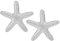 Seestern-Ohrringe für Damen, 2,8cm Seestern-Ohrstecker Boho-Ozean-Ohrringe Seestern-Statement-Ohrstecker für Damen Geschenk Sommer Strand Ozean Trendig Schmuck (Silber)