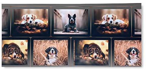 Tex family Tappeto Runner da Cucina Passatoia Antiscivolo Cane Cani Made in Italy - Cm. 50x280