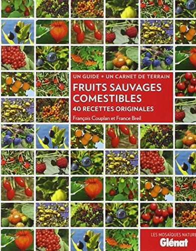 Fruits sauvages comestibles: 40 recettes originales