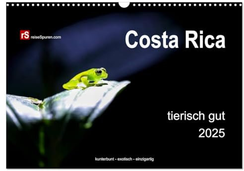 Costa Rica tierisch gut 2025 (Wandkalender 2025 DIN A3 quer), CALVENDO Monatskalender: Costa Ricas unglaublich vielfältige Tierwelt in freier Wildbahn ... - exotisch - einzigartig! (CALVENDO Tiere)