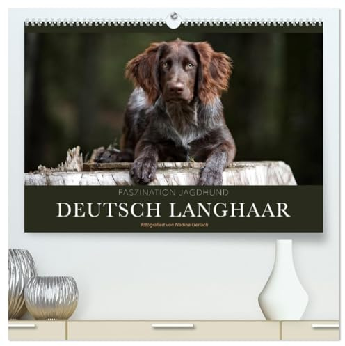 Faszination Jagdhund - Deutsch Langhaar (hochwertiger Premium Wandkalender 2026 DIN A2 quer), Kunstdruck in Hochglanz: Deutsch Langhaar - Ein Leben neben der Jagd (CALVENDO Tiere)