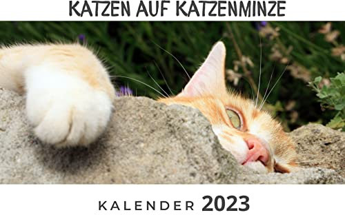 Katzen auf Katzenminze: Kalender 2023
