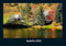 Seeblick 2025 Fotokalender DIN A4: Monatskalender mit Bild-Motiven aus Fauna und Flora, Natur, Blumen und Pflanzen