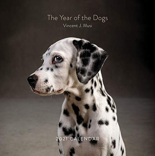The Year of the Dogs 2021 Wall Calendar: (Dog Portrait 12-Month Calendar, Dog Lovers Photography Monthly Calendar)
