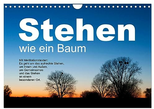 Stehen wie ein Baum (Wandkalender 2026 DIN A4 quer), CALVENDO Monatskalender: Bäume ermutigen zum aufrechten Stehen, zum Durchstehen von Situationen. (CALVENDO Glaube)