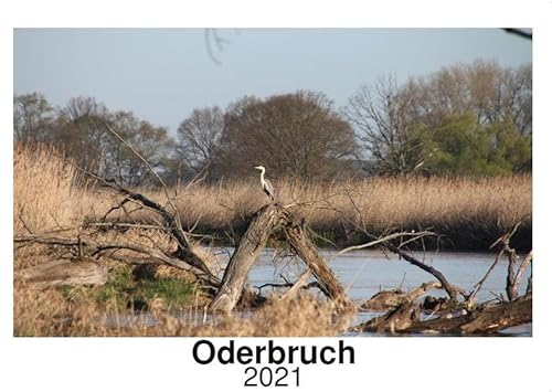 Das Oderbruch 2021: Wandkalender-limiert