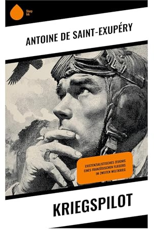 Kriegspilot: Aufklärungsflug über Arras 1940: Pflicht, Kameradschaft und menschliche Würde im Zusammenbruch Frankreichs