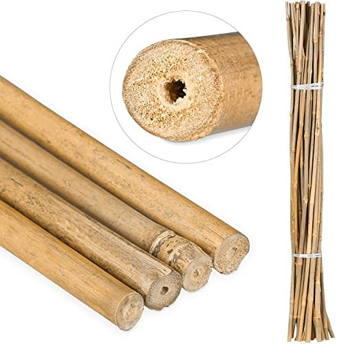 Suinga Set di 20 Tutori in Bambù per Piante 90 cm (7-10 mm) – Canne di Bambù, Supporti per Ortaggi, Pomodori, Alberi e Giardinaggio