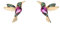 Einzelstück® Kolibri Ohrstecker I 925 Sterling Silber Ohrringe im Vogel Design I Handmade mit grünen und pinken Zirkonia Steinen I 14K Gold & Rosegold I Allergikerfreundlicher Echtschmuck (Gold)