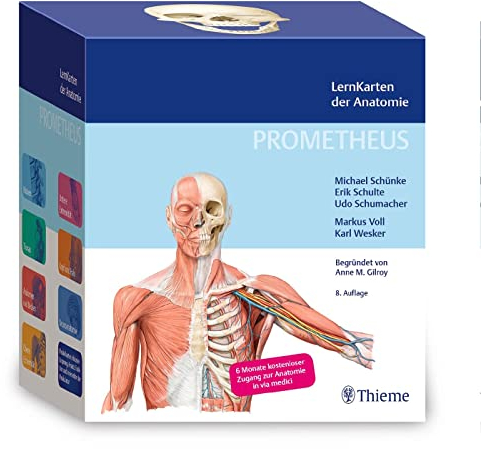 PROMETHEUS LernKarten der Anatomie